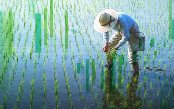 米粉麺(グルテンフリーうどん)/日本人の体質・食文化